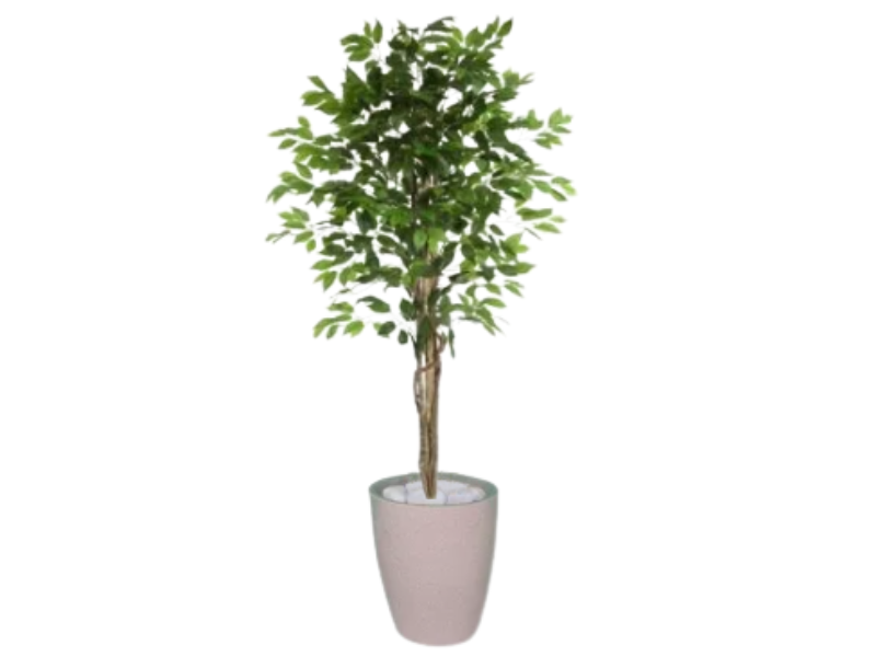 Planta Artificial Ficus Verde 1,50 kit + Vaso S. Bege 30 cm - 1