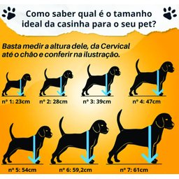 Casinha de Cachorro Simples N°2 - 4