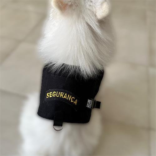 Coleira Peitoral Personalizada para Cachorros - 3