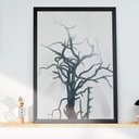 Ver imagem 1 de Quadro Decorativo Abstrato Natureza Morta Preto e Branco-34x49Cm