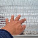 Ver imagem 5 de Gaiola para Pintinhos Mini Criadeira