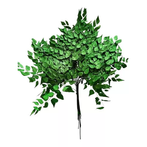 Buquê Folha de Avenca Desidratado Verde Arranjo Decoração