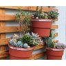 Kit 5 Suportes Para Vasos de Plantas Armazém do Verde Para Pendurar Treliças 19cm Diâmetro Armazem d - 7