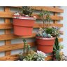 Kit 5 Suportes Para Vasos de Plantas Armazém do Verde Para Pendurar Treliças 19cm Diâmetro Armazem d - 6