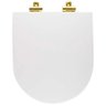 Assento Poliester Soft Close Antimicrobiano Link Lk Branco para Vaso Deca com Ferragem Dourada - 6