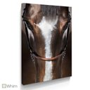 Ver imagem 1 de Quadro Decorativo Arte Rosto da Natureza