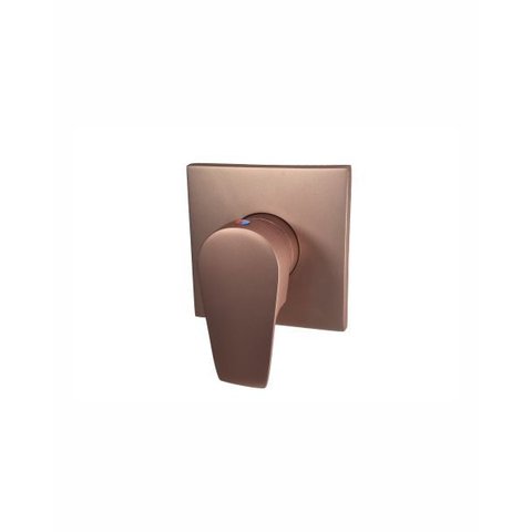Misturador Monocomando Chuveiro Led- Rose Fosco