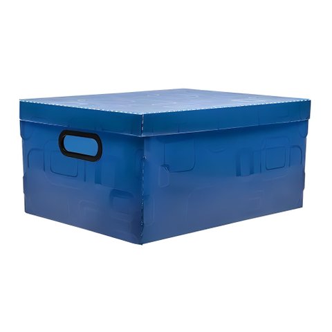 Caixa Organizadora Multiuso Grande Dello:azul