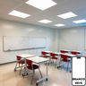 Tinta Látex Econômica Acrílica Base Água para Parede Fosca - 14l - Branco Neve - 10