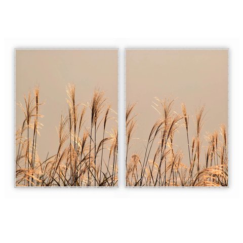 kit com 2 Quadros Decorativos Florais com Moldura e Vidro para Sala Quarto Escritório e Clínica 62x8