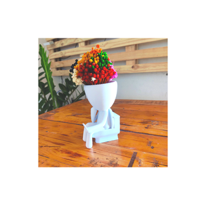 Vaso Decorativo Bob, Mexendo no Celular no Banheiro Sanitário