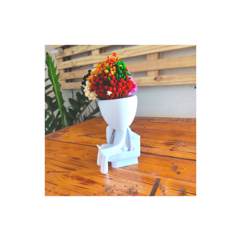 Vaso Decorativo Bob, Mexendo no Celular no Banheiro Sanitário