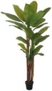 Ver imagem 1 de Planta Artificial Arvore Bananeira Real Toque C/pote X27 Verde 2m