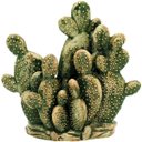 Ver imagem 1 de ÁRIDOS ADORNO 27x28x12cm CERÂMICA VERDE CACTUS