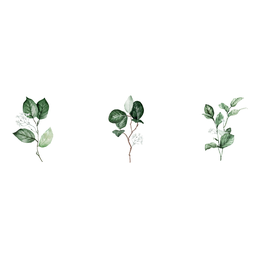 Tríptico - Quadros Decorativos Floral Aquarela Grande:Branco - 3