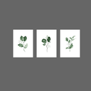 Ver imagem 1 de Tríptico - Quadros Decorativos Floral Aquarela Grande:Branco
