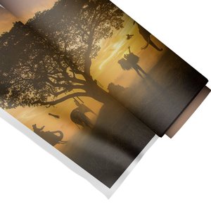 Quadro Decorativo Elefante na Savana 1:Pequeno 44x37cm/Somente Tela
