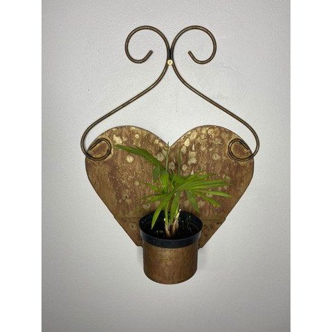 Porta-vaso - Cachepot Coração em Ferro Rústico