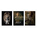 Ver imagem 2 de Kit 3 Quadro Leão de Judá Gospel Cristã Jesus Mdf Tratado 40x28cm