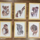 Ver imagem 2 de Quadro Infantil Safari 6 un A4 vidro e pendurador