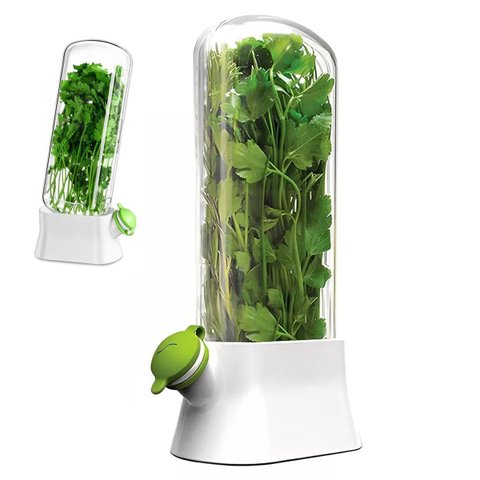 Herbario Conserva Ervas Frescas Geladeira Coentro Salsa Alecrim Hortela Alface Legumes Vegetais Sala