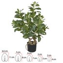 Ver imagem 2 de Arvore Clusia com Pote Real Toque Verde 78cm