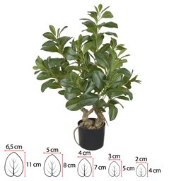 Arvore Clusia com Pote Real Toque Verde 78cm - 2