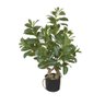 Arvore Clusia com Pote Real Toque Verde 78cm - 1