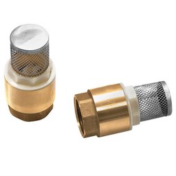 Válvula de Fundo de Poço com Tela Inox 1'' - RMD/R170C - REMADI - 1
