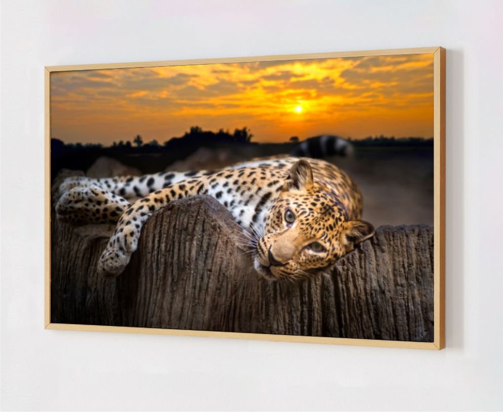 Quadro Decorativo Onça Pintada Moldura Caixa Alta 50x70 - Carvalho