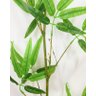 10 HASTES GRANDE VERDE REALISTAS DE BAMBU DA SORTE 2 MT - 6