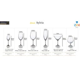 Conj 6 Taças Bohemia Titanium Sylvia Vinho Branco 250ml - 5