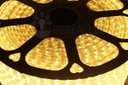 Ver imagem 6 de Mangueira Fita LED Chata 5050 15m Branco Quente 6mm 900 LEDS 110V