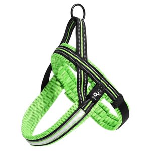 Peitoral Led 3 Funções Verde Tam. M Mimo - Pp333x [reembalado] Pp333x