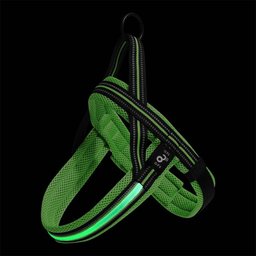 Peitoral Led 3 Funções Verde Tam. M Mimo - Pp333x [reembalado] Pp333x - 2