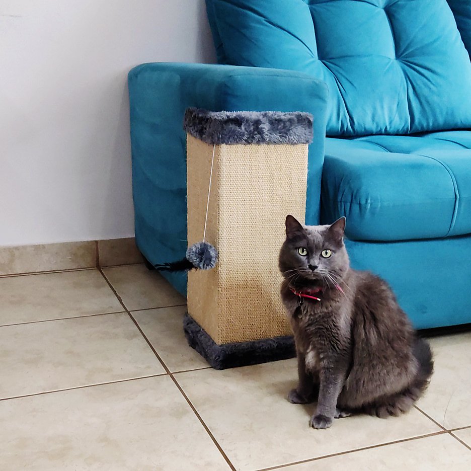 Arranhador KIT x 2 Unidades Protetor para Canto de Sofa Base INTERNA ...