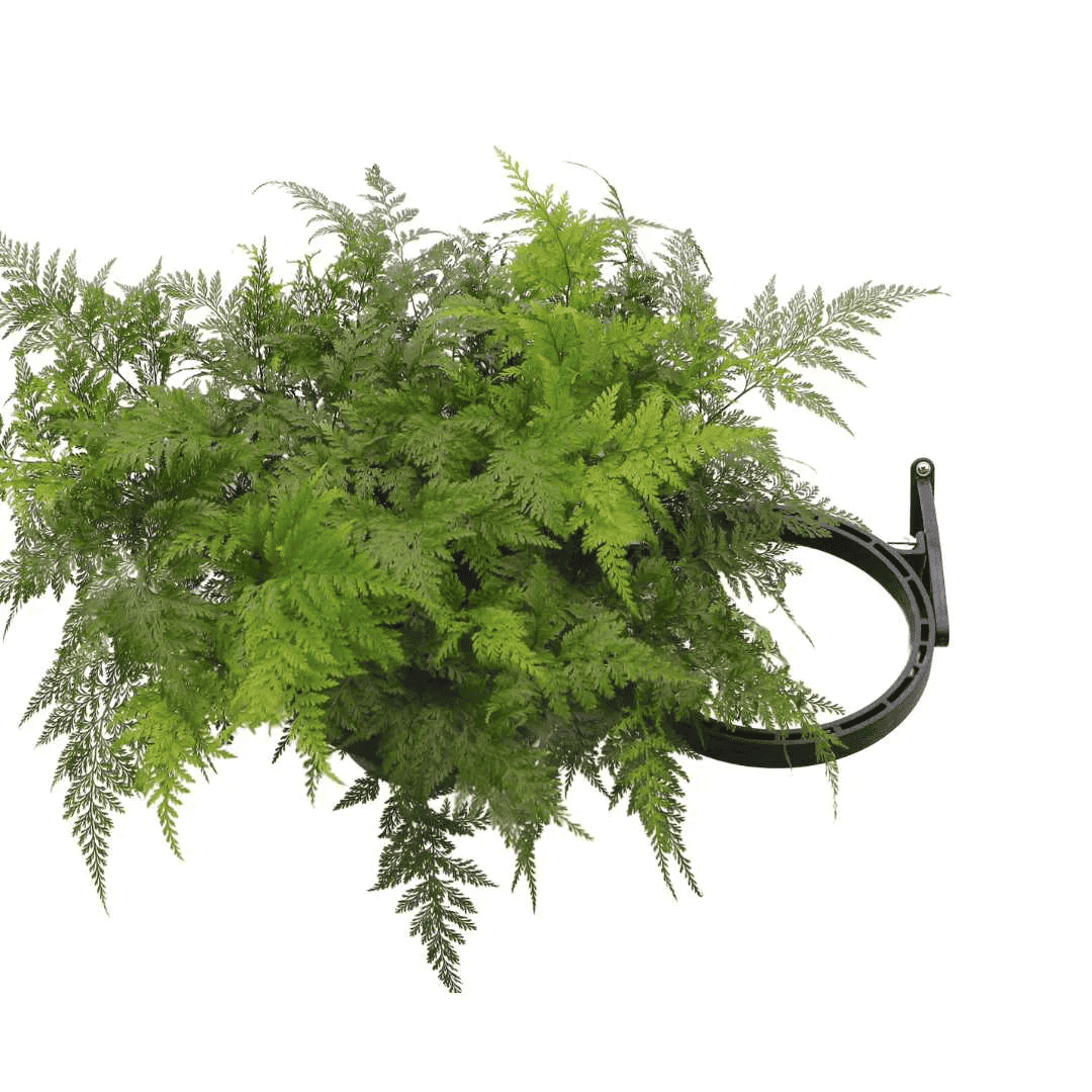 Módulo de 50cm para Jardim Vertical Greenplast