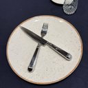 Ver imagem 6 de Jogo 50 Facas Jumbo Churrascaria 25cm Aço Inox Prateadas Mesa Restaurante