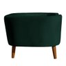 Cama Pet Caminha Cachorro Grande Veludo Casinha Luxo Colchão:veludo Verde - 3