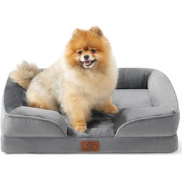 Bedsure Cama Ortopédica para Cães Pequenos, Camas Reforçadas para Cães Pequenos – Sofá de Espuma com - 1