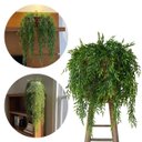 Ver imagem 6 de Kit 5 Pendentes de Capim Artificial Premium 75cm Volume Natural para Decoração Moderna