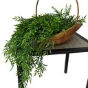 Ver imagem 1 de Kit 5 Pendentes de Capim Artificial Premium 75cm Volume Natural para Decoração Moderna