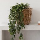 Ver imagem 6 de Kit 5 Pendentes de Eucalipto Artificial Realista 87 cm Folhagem Decorativa Permanente