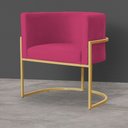 Ver imagem 3 de Kit 2 Poltronas Decorativa Sala de Estar Luana Base Gold Veludo Pink - Montanaris Decor Md Montanari