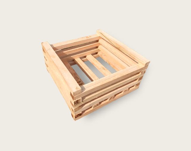 Kit com 10 Cachepôs 12 X 12, para Orquídeas e Flores