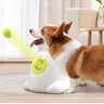 Lançador Automático de Bola para Cachorro 3 6 9 Metros Pet - 2