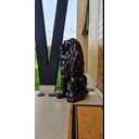 Ver imagem 4 de Escultura Estátua Decorativa Leão Sentado 108cm:preto Brilho