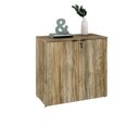 Ver imagem 5 de Armário Baixo com 2 Portas 75x80x42cm Marrom/Carvalho/Preto