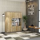 Ver imagem 7 de Armário Alto com Nichos e 05 Portas 161,5x135x42cm Marrom/Carvalho/Branco