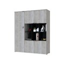 Ver imagem 5 de Armário Alto com Nichos e 05 Portas 161,5x135x42cm Branco/Snow/Preto